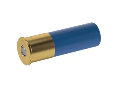 Bullet 16 GAUGE Low-poly 3D model