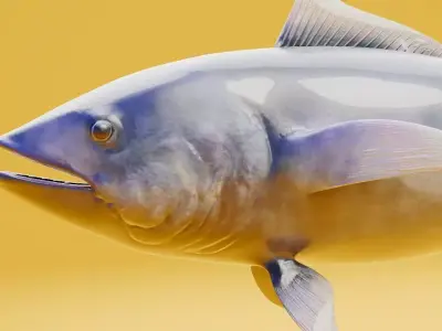 Tuna 3d model fish Low-poly 3D model