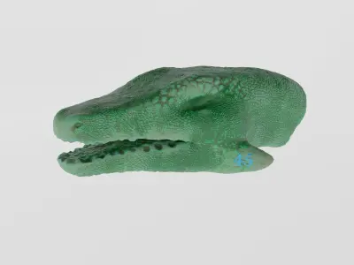 Dragon Head Baked Free low-poly 3D model