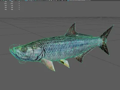 Tarpon Low-poly 3D model purchase