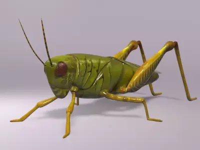 Grasshopper Asset Low-poly 3D model
