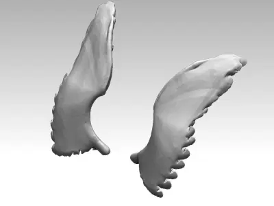 Wing Highpoly High Deatiled element part 3D print model