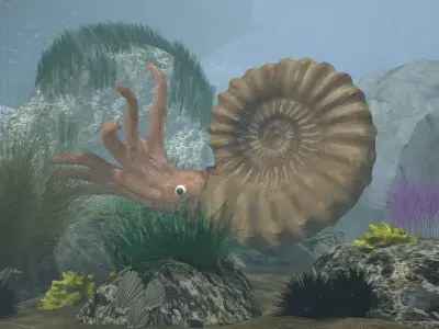 Ammonite with complete underwater scene Low-poly 3D model