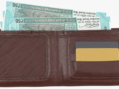 India 50 Rupee Wallet Money Purse 3D model