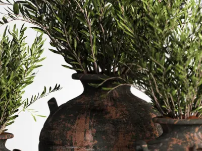 Olive plant In Antique Clay Vessels And Indoor Plant Set 07 3D model