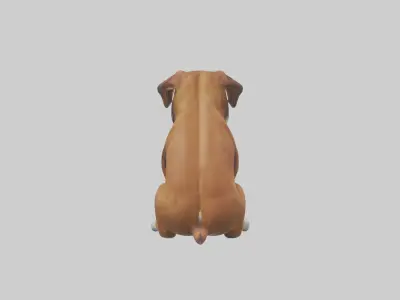 Sitting Boxer model Low-poly 3D model