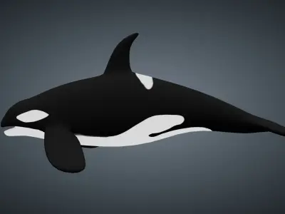 Killer Whale Orca - Rigged Free low-poly 3D model