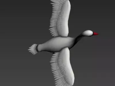 Swan Goose Low-poly 3D model