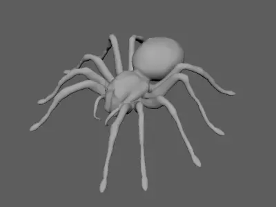 Spider 3D model 5