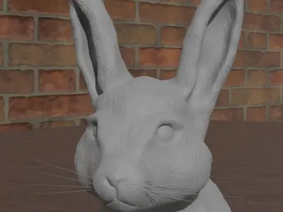 Rabbit 3D model buy