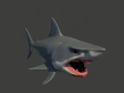 Shark Base Model  3D model