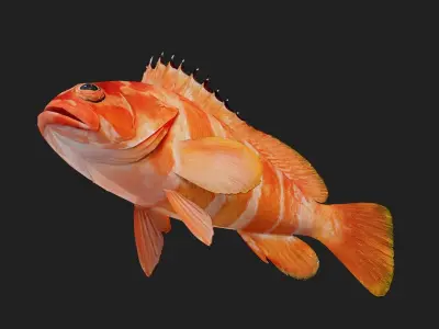 Bass fish Low-poly 3D model 2