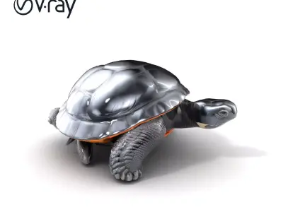 Leatherback Turtle Detailed Shell model pack Low-poly 3D model