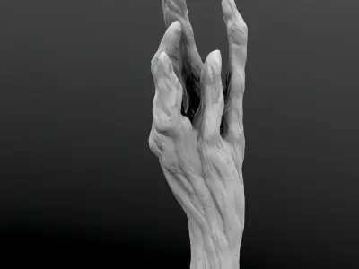 Magic Wand High Poly model 3D model