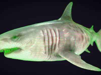 Megalodon Low-poly 3D model purchase