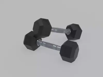Dumbbell 10 KG Low-poly 3D model