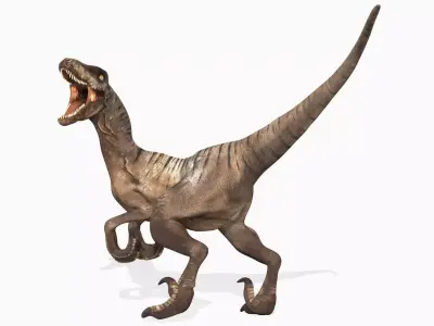 Velociraptor Low-poly 3D model 3