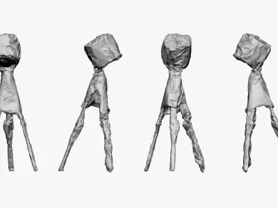 001275 the light hiden under dark coat lowpoly 3D model