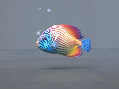 Marine Angelfish 3D model