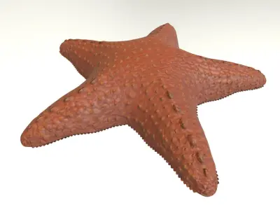 Starfish Low-poly 3D model 3