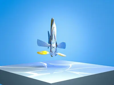 Colorful copperband butterfly reef fish Low-poly 3D model