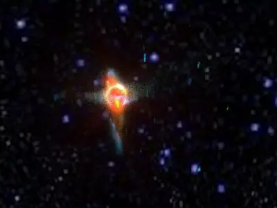 Bird Galaxy 3D model