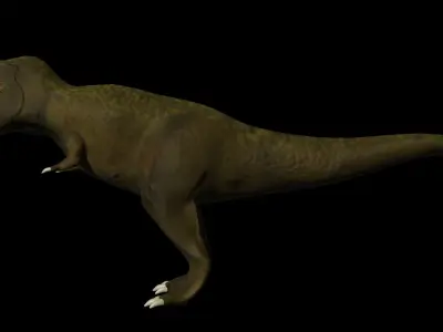 T-Rex t - rex Free low-poly 3D model