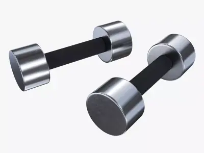 Dumbbell pair 3D model