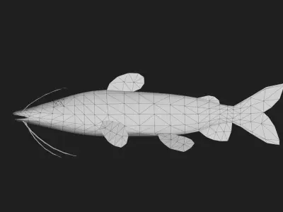 Catfish Low-poly 3D model shop