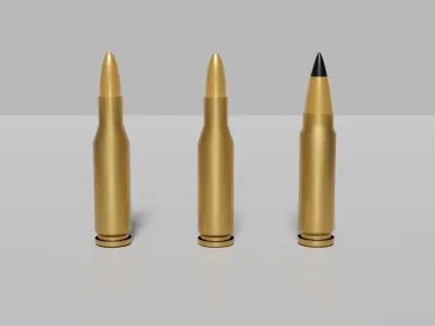 Bullets 308 Winchester 220 Swift 3D model