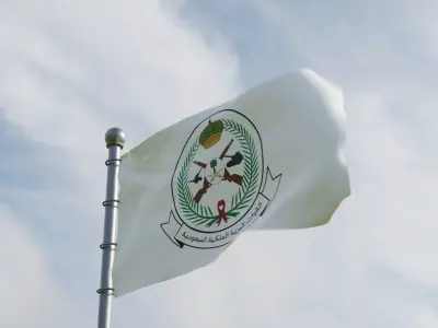 Animated Saudi Arabia Flags 3D model