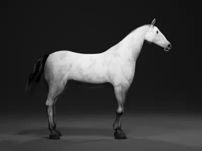 Horse 3D model order