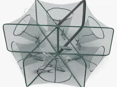 Mesh Fishing Trap with Fish Inside 3D model