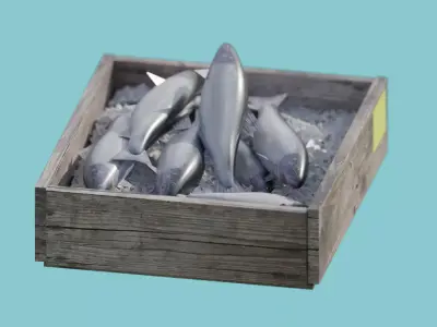 salmon fish Free 3D model