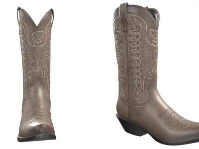 Brown Western Boots(1) 3D model