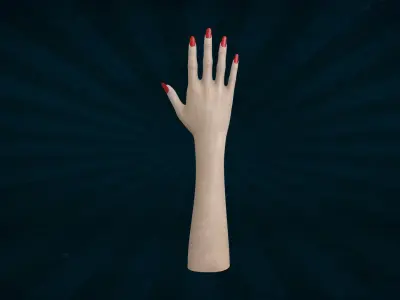 HAND-018 Woman right hand 3D model