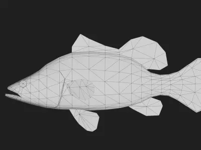 Bass fish Low-poly 3D model 3
