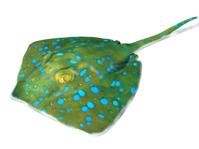 Stingray Low-poly 3D model