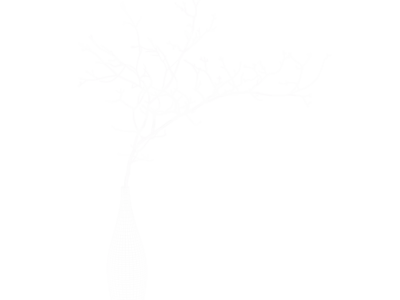  Dried Twigs Vase Model 