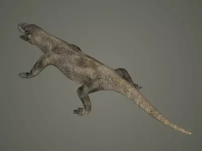 reptile lizard nature dinosaur animal wildlife animals 3D model