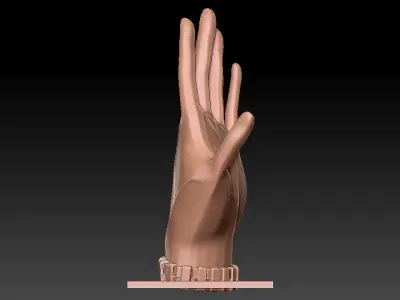 3D HAND mannequin Free 3D model
