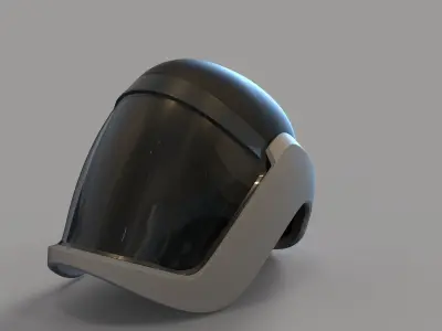 THE FACE GUARD MASK 3D model