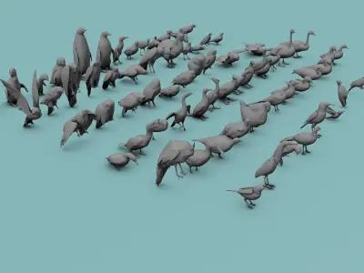 Birds Assets Low-poly 3D model