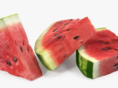 Sliced Watermelon Collection 3D model