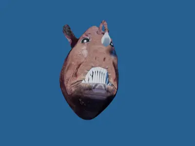 angler fish 3D model purchase