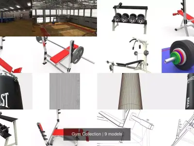 Gym Exercise Workout Pack