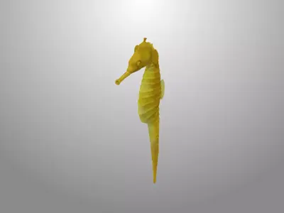 Seahorse fish 3D model Rigged Low-poly 3D model