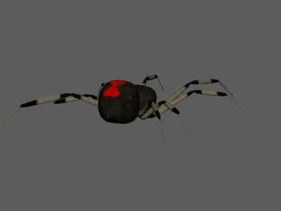 Spider Brown Widow 3D model