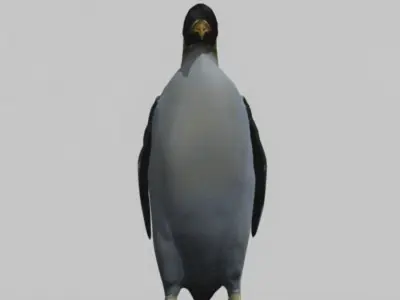 Penguin 3D model buy