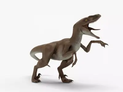Realistic Velociraptor Rigged 3D Model Low-poly 3D model